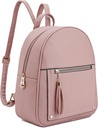מונטנה West Girls תרמיל מתנות לילדים Anti Theft עם Secured Zipper & Tassel