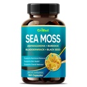 Premium Sea Moss with Ashwagandha, Burdock Bladderwrack, Black Seed for Immune System, Skin, Digest & Energy- Made in the USA (150 Count (Pack of 1))