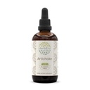 HerbEra Artichoke B120-Free Herbal Extracting Tincture, נוזל מבוזר טיפות טבעי Artichoke (Cynara scolymus) (4 floz)