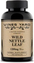 Wild Nettle Leaf קפסולות | תמיכה בהפרעות שומן בריא ו- Urinary Tract בעיות | 100% טבעי צמחי מרפא טבעי תוספת 1200mg | 100 Pack