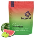 Tailwind Nutrition Endurance דלק, Carbohydrate & Electrolyte Sports Drink אבקת, Gluten-Free, טבעוני, Dauwatermelon, 50 משרתים
