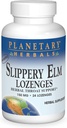 צמחים פלנטריים Slippery Elm Lozenges, Herbal גרון תמיכה, 24 Lozenge