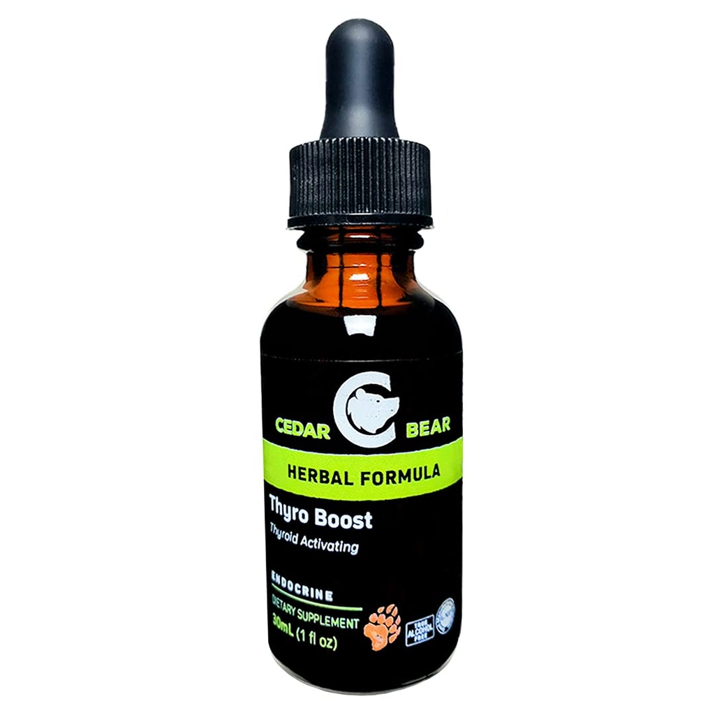 Cedar Bear Thyro Boost תוסף צמחי נוזלי המסייע להפעיל ולבנות הפונקציה Thyroid ו integrity 1 Fl Oz