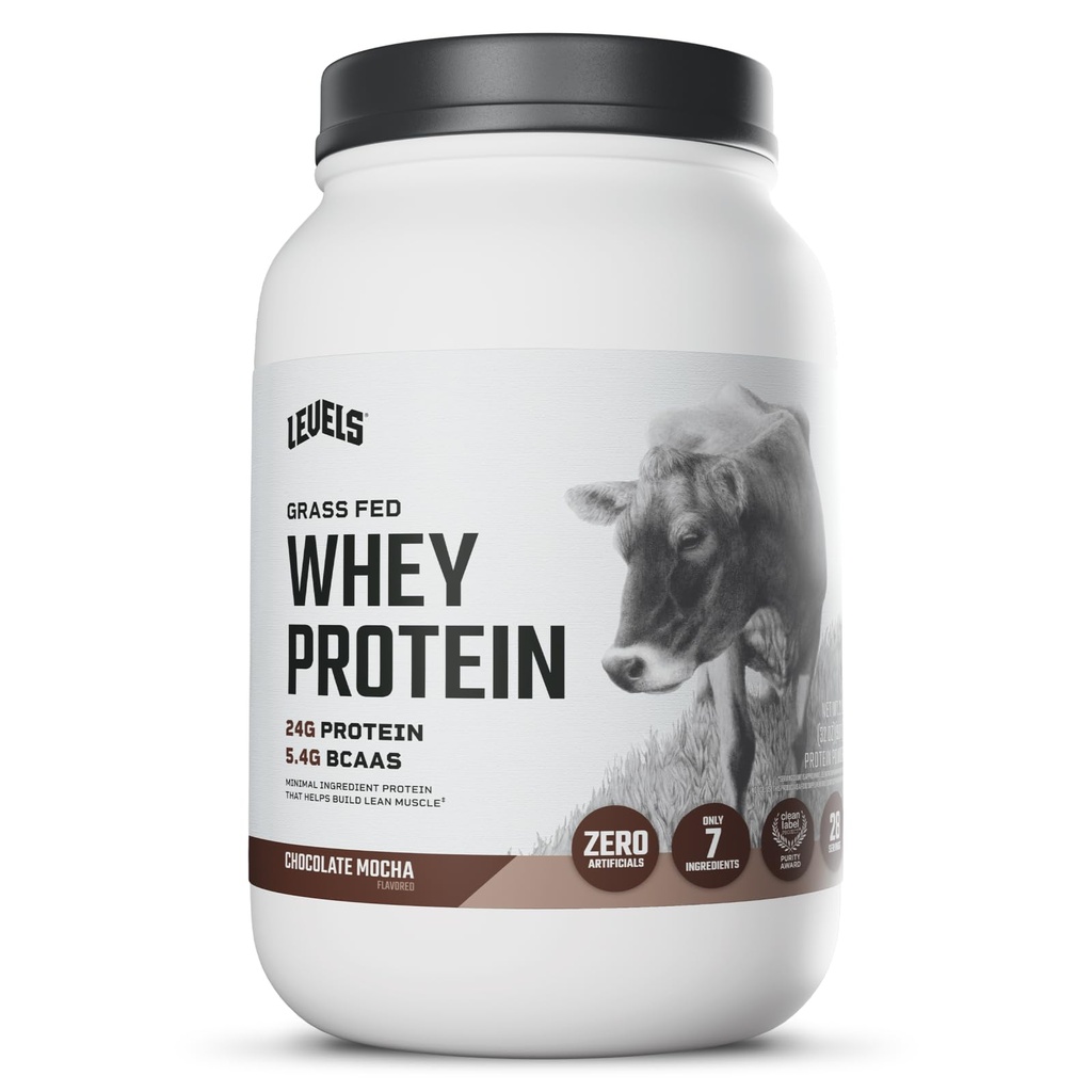 רמות Grass Fed Whey חלבון אבקת, לא מלאכותיים, 24G של חלבון, שוקולד Mocha, 2LB