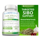 מוסמך מדע Siboprin - 60 קפסולות - תמיכה Gut Balance, Soothe Intestinal Irritation, עזרה עם Cramps ו Bloating - Caprylic Acid, Barberry, Oregano - טבעוני טבעוני