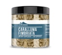 Earthborn Elements Caralluma Fimbriata 200 קפסולות, Pure & Undiluted, No Additives