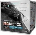 Micro-Encapsulated Probiotics for Horses - Premium Equine Digestive Health