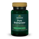 Swason Pure Brainpower Brain Brain Health Cognitive Memory Focus Support Brain-Derived Neurotrophic Factor (BDNF) Herbal Supplement (Ginkgo Biloba, Bacopa Monnieri) 60 קפסולות Veggie (Veg Caps) טבעוני טבעוני טבעוני טבעוני טבעוני טבעוני טבעוני