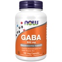 עכשיו תוספי מזון, GABA (Gamma-Aminobutyric Acid) 500 מ"ג + B-6, Natural Neurotransmitter*, 100 ואג קפסולות