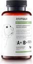 Aimaux - חומרים מזינים 365 לכלבים, ויטמין All-Natural, מערכת החיסון בריאה, Vitality, Skin, Shiny Coat, Raw-Feeding, Puppies, Dogs with Allergies, 60 טבליות Chewable, 60 ימים אספקה
