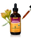 Herb Pharm מוסמך אורגני Rhodiola שורש לחלץ אנרגיה, אנדורנס וסטמינה, אלכוהול חינם Glycerite, 4 Ouncecece