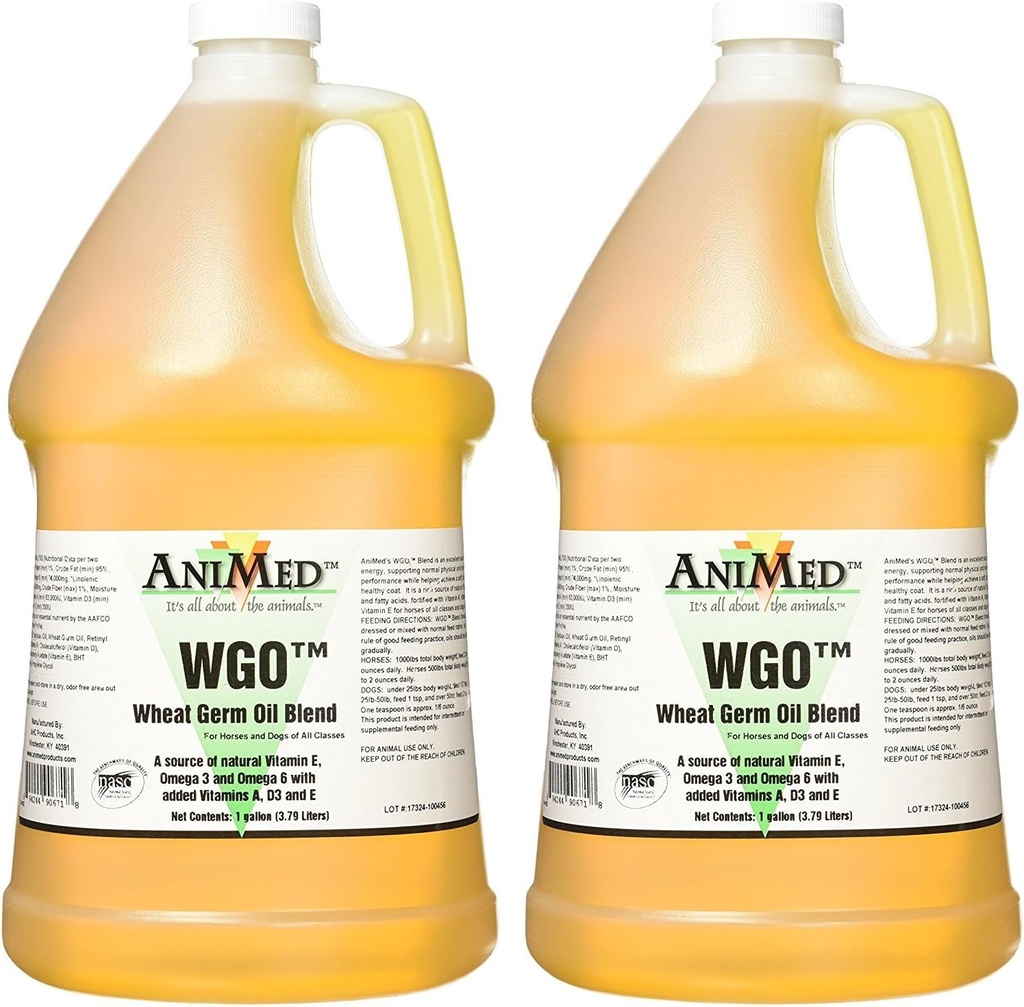 AniMed WGO חיטה Germ שמן תוספת, 1 גאלון (2 Pack)