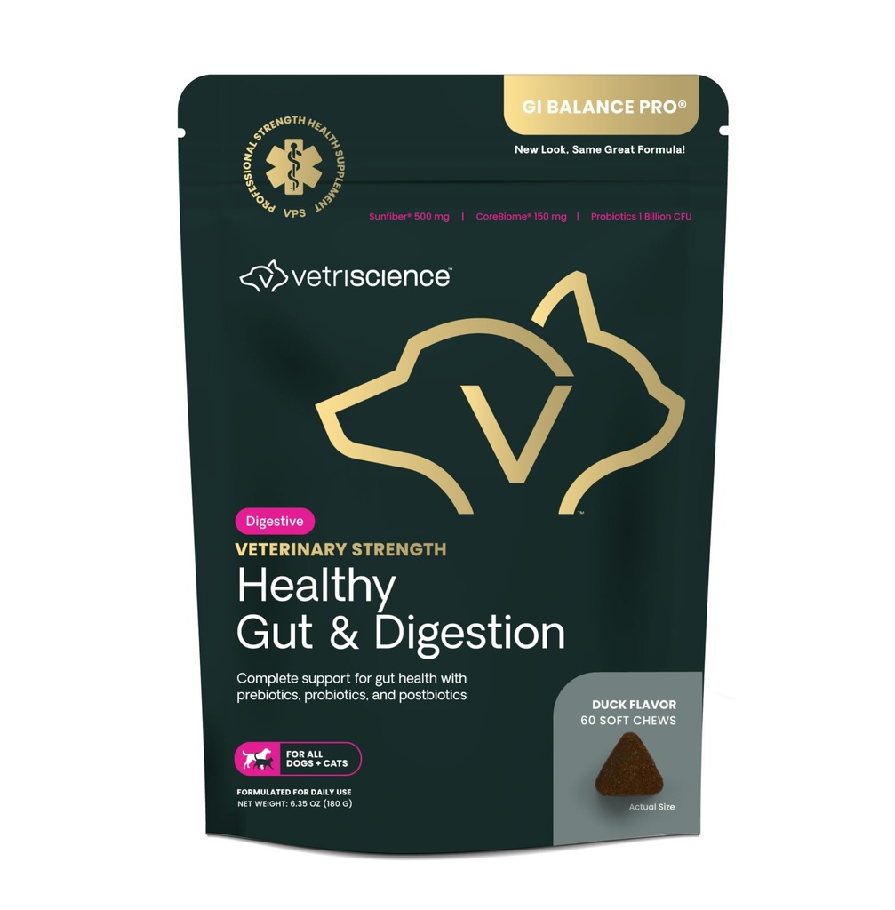 VetriScience Veterinaryחוזק בריא Gut & Digest - תוספי בריאות עתיר עבור חתולים וכלבים - תמיכה בריאות וחיסון - תכונות Probiotics, Prebiotics & Postbiotics - 60 Count Count