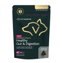 VetriScience Veterinaryחוזק בריא Gut & Digest - תוספי בריאות עתיר עבור חתולים וכלבים - תמיכה בריאות וחיסון - תכונות Probiotics, Prebiotics & Postbiotics - 60 Count Count