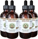 Muira Puama אלכוהול חינם לחלץ, אורגני Muira Puama (Ptychopetalum Olacoides) Glycerite טבעי צמחי מרפא, הוואי Pharm, ארה"ב 4x4 oz