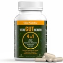 Vital Gut בריאות 4in1 פורמולה עם Apple Cider Vinegar, Prebiotics & Probiotics, Enzymes for Strong Immunity Support and Complete Gut and Digest Support