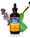 Herb Pharm המוח כל כך אחר: בזיל הקדוש: תוספת נוזלי Kava לתמוך Calm & מרגיעה, ייצוב תמיכה עבור מערכת Nervous, Made עם נובל Kava & Lavender פרח, טבעוני, Gluten-Free, 4 oz *