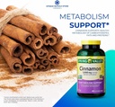 ייחודי Bundle Store Cinnamon 1000 מ"ג, 400 קפסולות - תמיכה תזונתית צמחונית (Pack of 1)