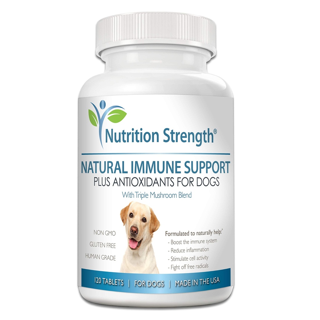 תמיכה ב- Dogs Plus Antioxidant, Reishi, Shiitake, Maitake, טורקיה Tail Mushrooms for Dogs, עם Coenzyme Q10, Selenium, ויטמין A, 120 טבליות Chewable