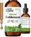 Wild & Organic Goldenseal Root Tincture - Lung ניקויse, Immune & Digestive Support - נוזל זהב תוספת - טבעוני, סוכר ואלכוהול חינם Herb טיפות - 2 fl oz