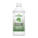 נוזל בריאות דינמי Chlorophyll Peppermint 100 מ"ג, Sodium Copper Chlorophyllins עם אלפאlfa ו- Mulberry Leaves, Plant ניקויse ו Deodorizing, לא תוספת סוכר, 16 Fl Oz