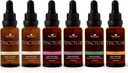 Plant Therapy Organic Tinctures Beginner להגדיר 30 mL כל אחד של אורגני אשוגנדה, אסיה גינזנג, Echinacea בלנדה, Elderberry, לימון Balm & Turmeric.