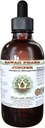 Joiper אלכוהול חינם לחלץ, Joiper אורגני (Juniperus Monosperma) Dried ברי Glycerite הוואי Pharm טבעי צמחי 4 oz