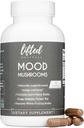 Mood Mushrooms - Lifted Mushroom תוסף - Lion's Mane, Reishi, Chaga, טורקיה Tail, Maitake - Energy, Focus, Stress Relief