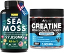 Sea Mossss & Creatine Monohydrate Gummies Bundle 270 Count - Organic Sea Mossss Black Seed Oil Aşhwagandha ג'ינג'ר & Creatine Monohydrate (2 Pack)
