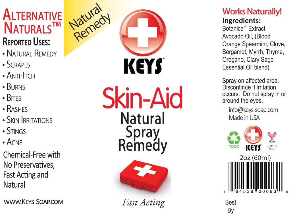 Skin-Aid Vegan, Chemical-Free, All Natural Antiseptic Analgesic Spray Therapy Remedy, Fast Acting תרופות כיתה ingredients in Therapeutic Proportions, No Lidocaine, 2 אונקיות