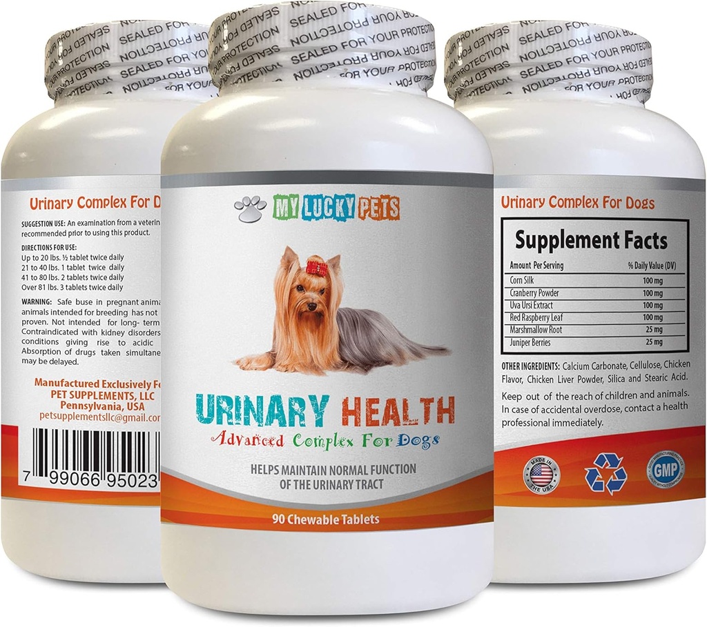 הכלב Urinary Tract Support - כלב Urinary Health Formula - Helps with Incontinence and Bladder בעיות - Immune Boost - קורנת משי גלולות לכלבים - 1 בקבוק (90 טיפולים)