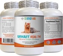 הכלב Urinary Tract Support - כלב Urinary Health Formula - Helps with Incontinence and Bladder בעיות - Immune Boost - קורנת משי גלולות לכלבים - 1 בקבוק (90 טיפולים)