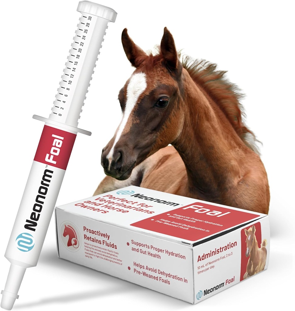 יגואר Animal Health Foal - Equine Supplement Paste for the Support of Fit hydrotion & Bowel Health - מוצרים המבוססים על צמחים עבור pre-weaned Foals (30 מ"ל)