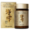 Fcoidan קפסולת Pure Seaweed Extracted עם Agaricus Mushroom אופטימיזציה בריאות תוספת 120 קפסולות