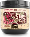 כדור הארץ פד שרירים Stammpede Pre Workout - Dragon פירות Punch, אנרגיה נקייה, פוקוס, תמיכה שרירים, No Fillers או Artificial Flavors, 30 משרתים