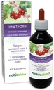 Naturalma הותורן (Crataegus oxyacantha) Leaf and Flower-Free Tincture - 6.76 fl oz Liquid Extracts - Herbal תוסף - טבעוני