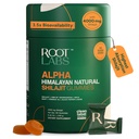 10in-1 Alpha Shilajit Gummies