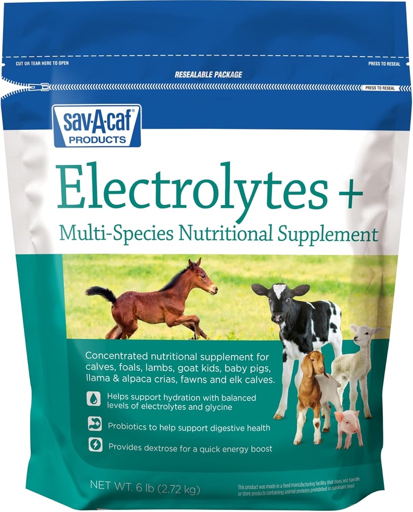 Sav-a-Caf Electrolytes PlusTM תוסף 6 פאונד (6LB) Bag