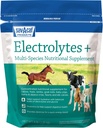 Sav-a-Caf Electrolytes PlusTM תוסף 6 פאונד (6LB) Bag