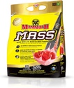 MAMMOTH Mass: Weight Gainer, High Calorie חלבון אבקת Workout Smoothie Shake, Meal החלפה, סוכר נמוך, Whey Isolate Concentrate, Casein חלבונים, חלבונים גבוהים (Strawberry, 5lb)