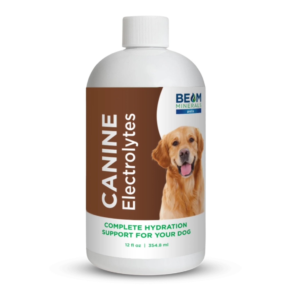 Beam מינרלים שלמים Canine Electrolytes | Full-Spectrum Electrolytes for Dogs