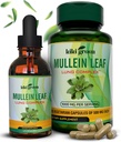 KIKI גרין מולליין קפסולות & נוזל טיפות Bundle - מולליין Leaf Extract תוספי מזון, 90 קפסולות + 2 fl oz - עבור הנשימה ותמיכה חסינות, Better Lung function, Lung Cleanse & Relief