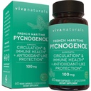Viva Naturals Pycnogenol - 100 מ"ג צרפתית תמצית פין Bark - תמיכה Circulation, Antioxidant-Like Activity, Joints & Immune Health and Function - 60 Veggie קפסולות