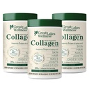 Great Lakes So Collagen Peptides אבקת עבור העור, השיער, הציפורניים, Joints & Digestion - Unflavored - Quick Dissolve hydrolyzed, non-GMO, Keto, כשר - 16 oz - 3 Pack