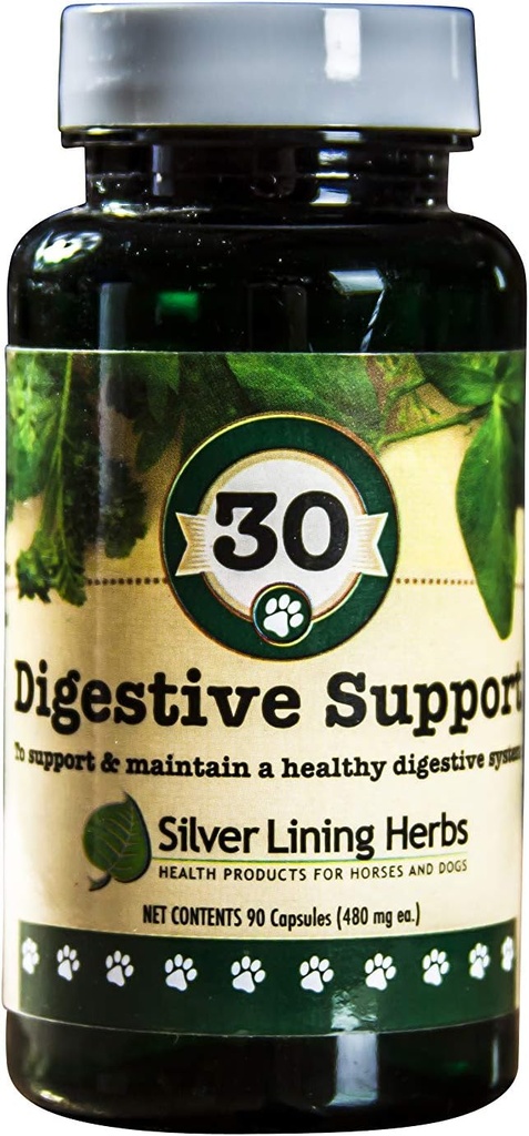 Silver Lining Herbs Dog Digestive Support - דוגמיות לכלבים לתפקוד בריא ו- Gut - Natural Herbal Bowl ויטמיניםs with Slippery Elm Bark, ג'ינג'ר ועוד - 90 קפסולות
