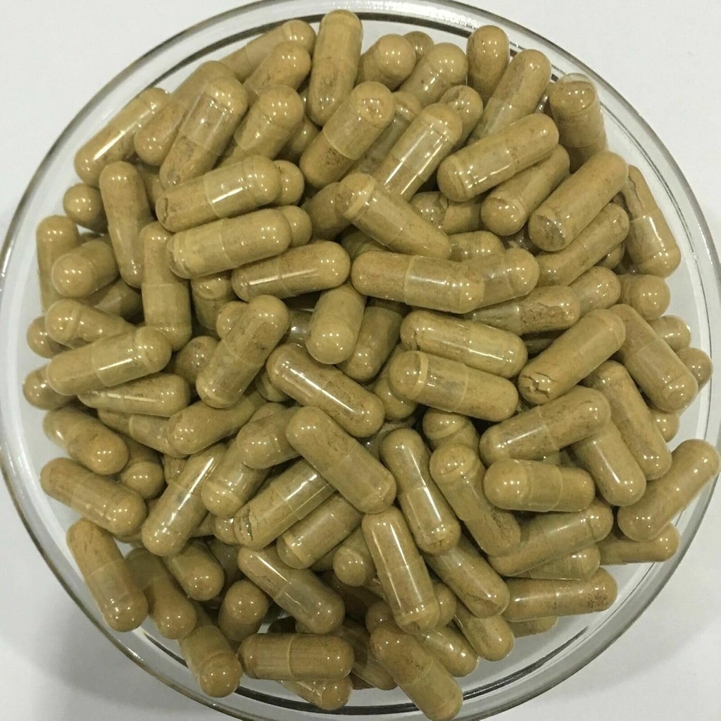 חלב נמר טהור Mushroom לחלץ 50:1 קפסולות 500 מ"ג *200capsules