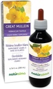 Naturalma Great Mullein או Common Mullein (Verbascum thapsus) פרח ו- Leaf-Free Tincture - 6.76 פליטה נוזלית oz ב Drops - Herbal - טבעוני תוסף - טבעוני