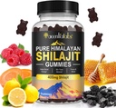 חניכיים Shilajit, Pure ההימלאיה Shilajit חניכיים עם 100% Shilajit, Shilajit אורגני חניכיים עשיר Fulvic Acid 85+ Trace מינרלים המתאימים לגברים ונשים, non-GMO - 60 מסטיקמי