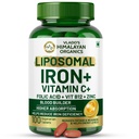 HIMALAYAN ORGANICS אורגניs צ'אד ברזל עם ויטמין C,B12,Zinc & Folic Acid | Boost Hemoglobin Levels | שיפור רמת הריכוז, Energy & Blood Building-120 Veg Tablets
