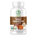 Reishi Mushroom קפסולות | 60 קפסולות אדוגניות טבעוניות עבור Immune Support & Stress Relief